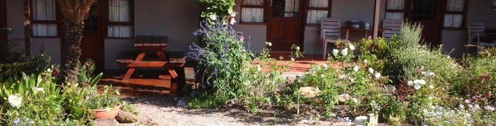 African Sun Guest House George Buitenkant foto