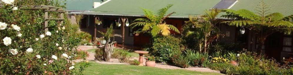 African Sun Guest House George Buitenkant foto